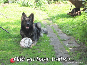 Aiki en haar bal